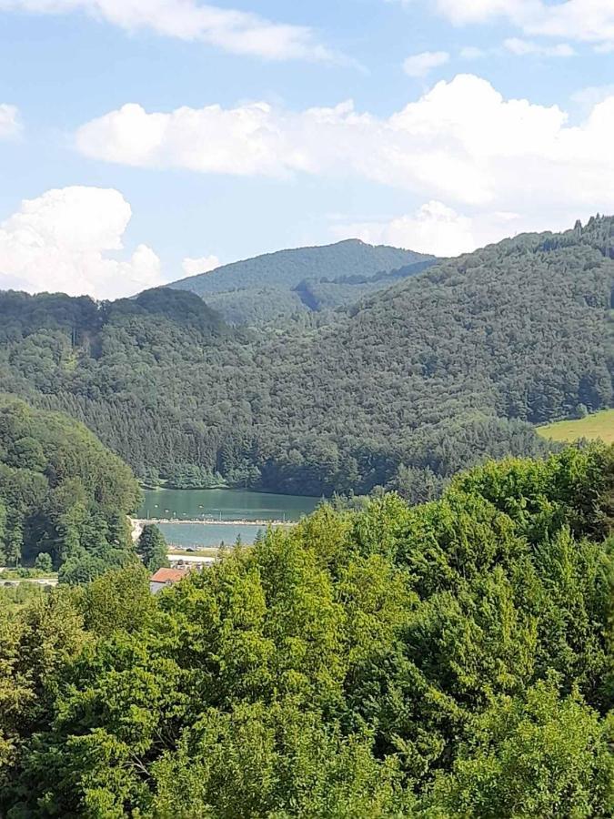 Apartman Milekic Mrkonjic Grad Bagian luar foto